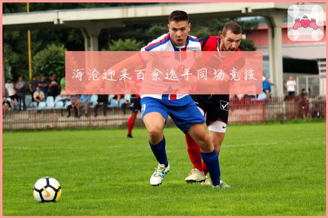 海沧迎来百余选手同场竞技